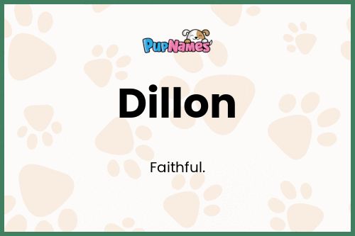 Dillon dog name meaning