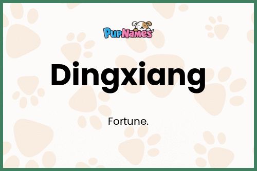 Dingxiang dog name meaning