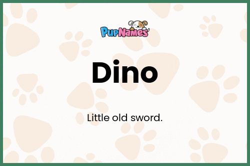 Dino dog name meaning