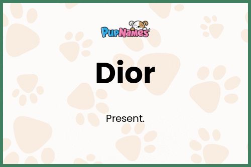 Dior dog name meaning