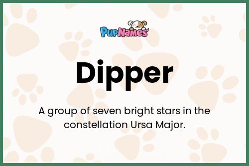 Dipper dog name meaning