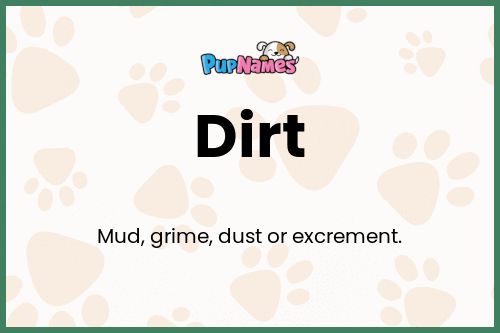 Dirt dog name meaning