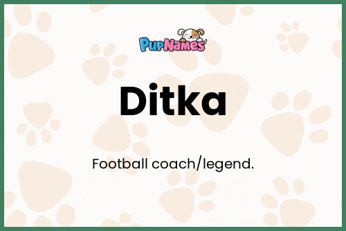 Ditka dog name meaning