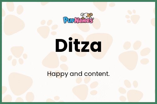 Ditza dog name meaning