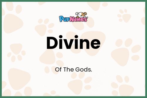 Divine dog name meaning