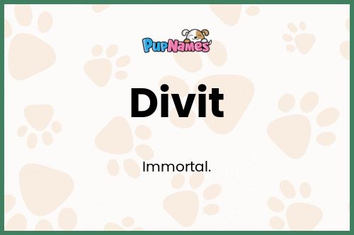 Divit dog name meaning