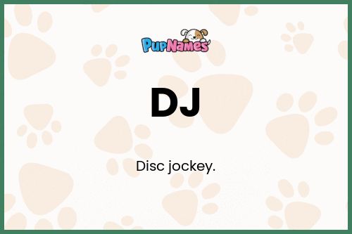 DJ dog name meaning