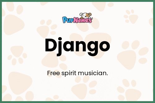 Django dog name meaning