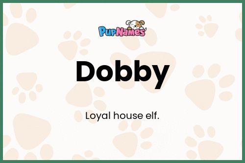 Dobby dog name meaning