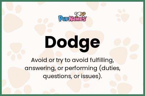 Dodge dog name meaning