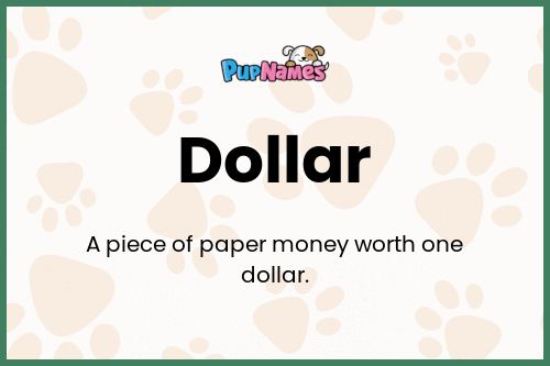 Dollar dog name meaning