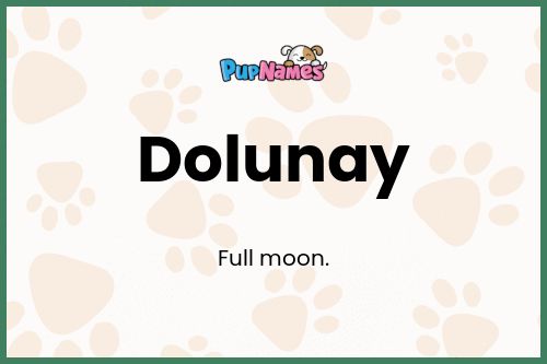 Dolunay dog name meaning