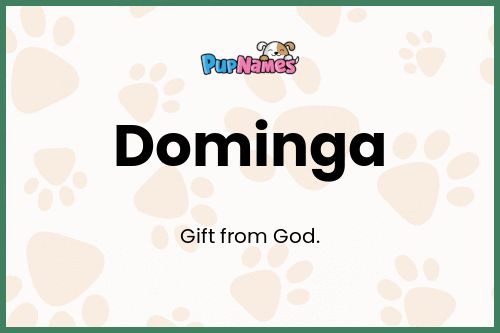 Dominga dog name meaning