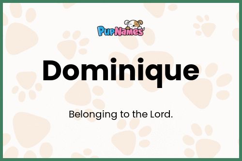 Dominique dog name meaning