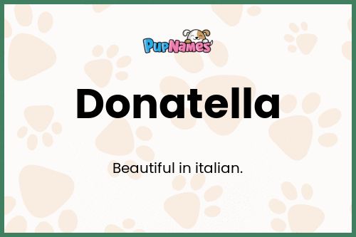 Donatella dog name meaning