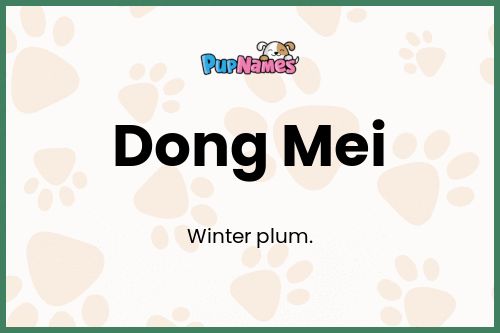 Dong Mei dog name meaning