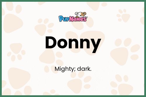 Donny dog name meaning