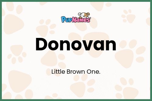 Donovan dog name meaning