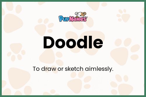 Doodle dog name meaning