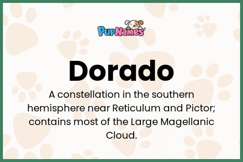 Dorado dog name meaning