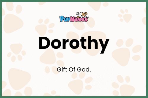 Dorothy dog name meaning