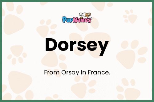 Dorsey dog name meaning