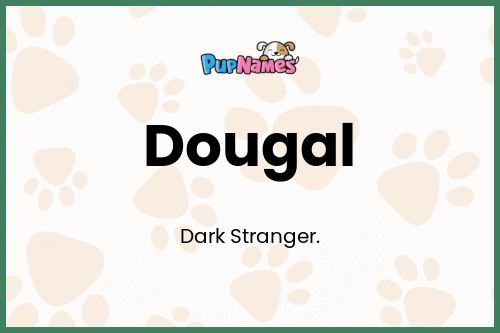 Dougal dog name meaning