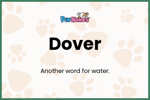 Dover dog name meaning