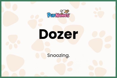 Dozer dog name meaning