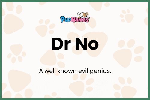 Dr No dog name meaning