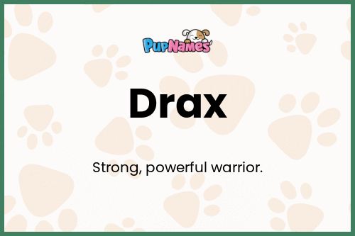 Drax dog name meaning