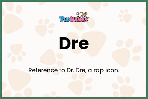 Dre dog name meaning