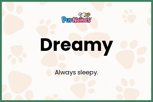 Dreamy dog name meaning