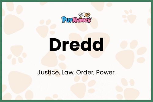 Dredd dog name meaning