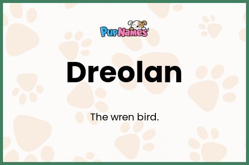 Dreolan dog name meaning