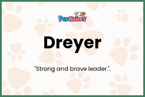 Dreyer dog name meaning