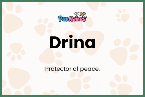 Drina dog name meaning