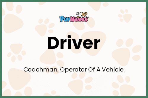 Driver dog name meaning