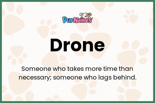 Drone dog name meaning