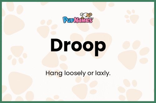 Droop dog name meaning