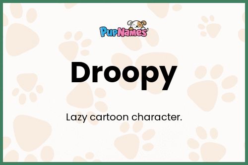 Droopy dog name meaning