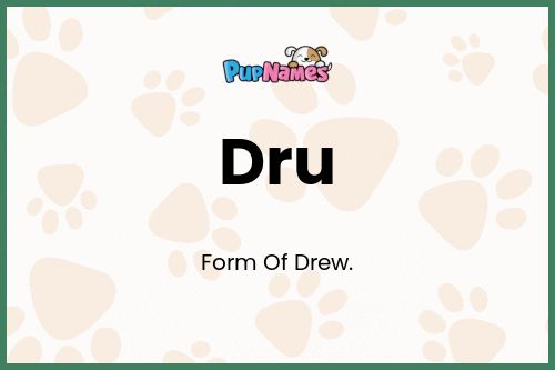 Dru dog name meaning