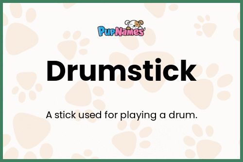 Drumstick dog name meaning