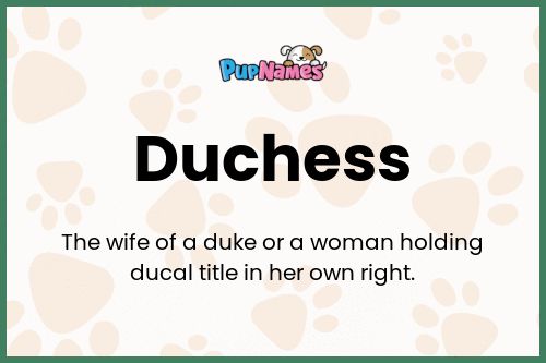 Duchess dog name meaning