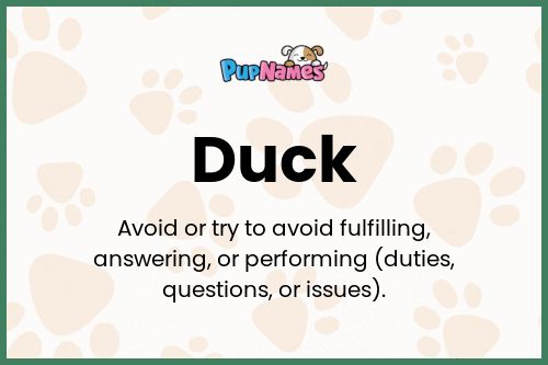 Duck dog name meaning