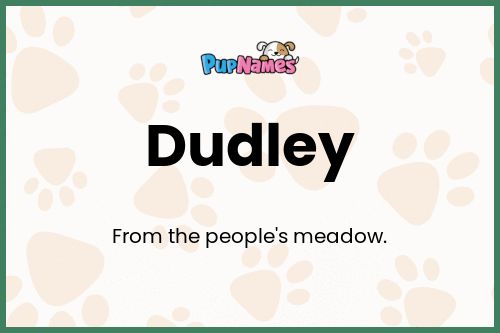 Dudley dog name meaning