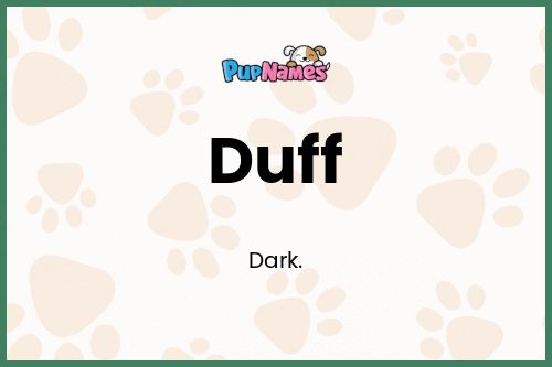 Duff dog name meaning