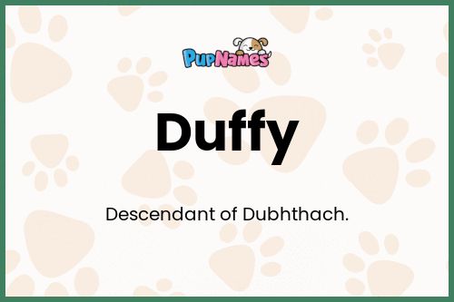 Duffy dog name meaning