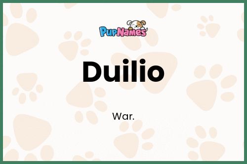 Duilio dog name meaning