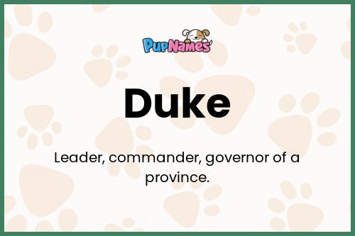 Duke dog name meaning